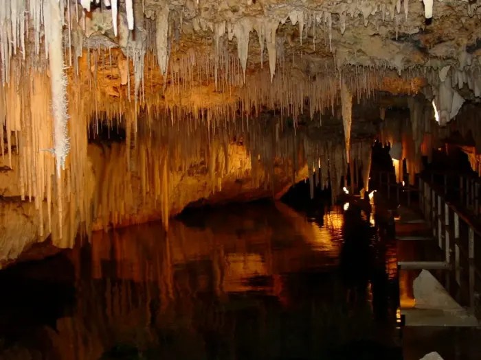 Stalactites lit inside a show cave
