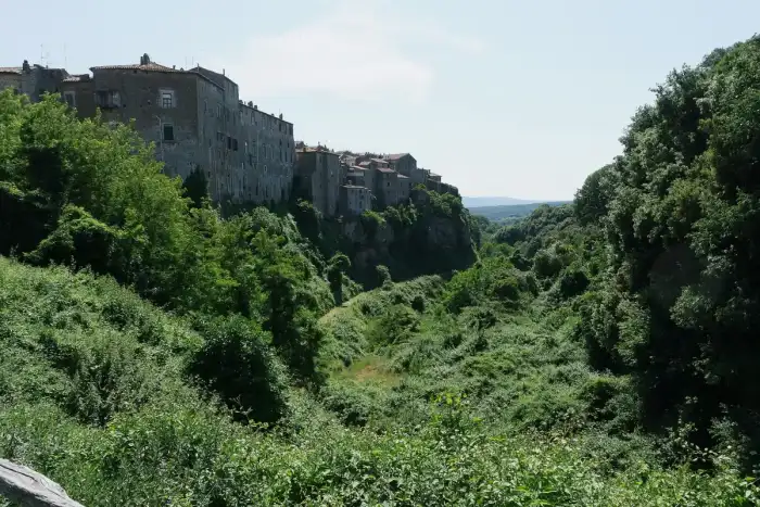 Farnese