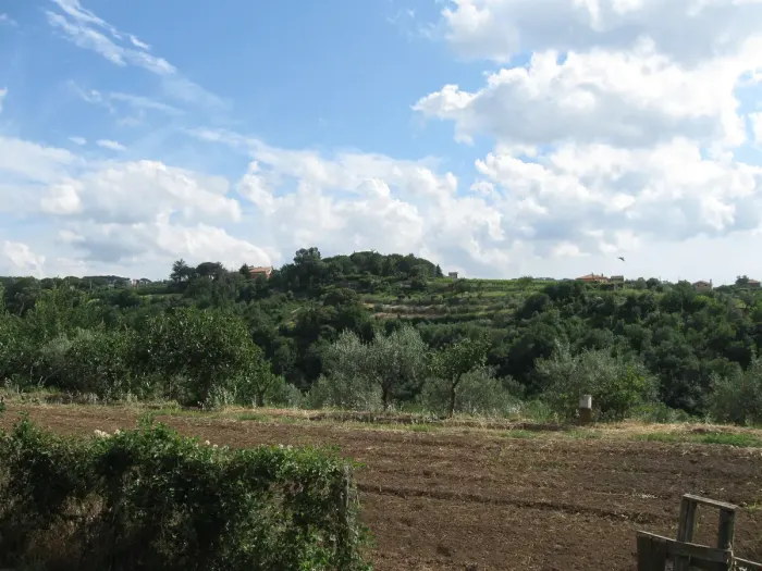 Grottaferrata