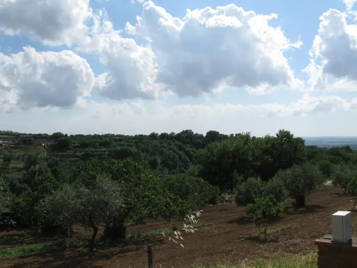 Grottaferrata
