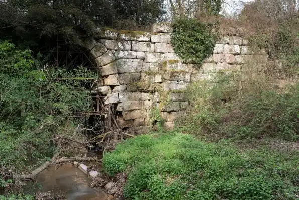 Manziana