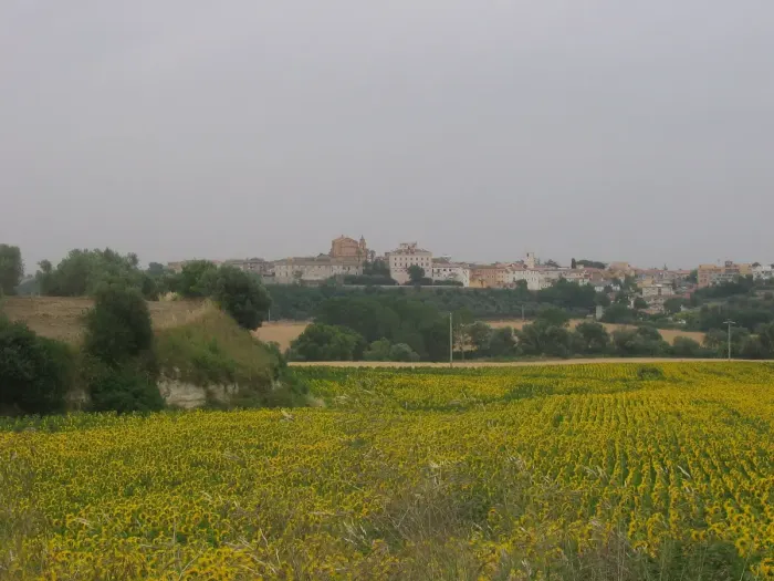 Montalto Di Castro