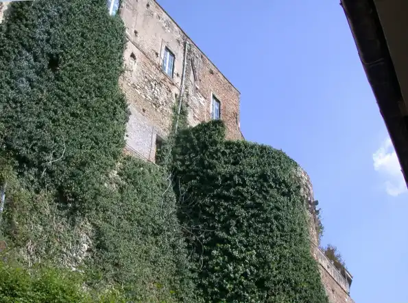 Montelibretti