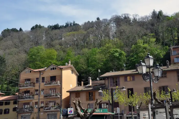 Nemi
