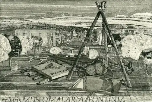 Pontinia