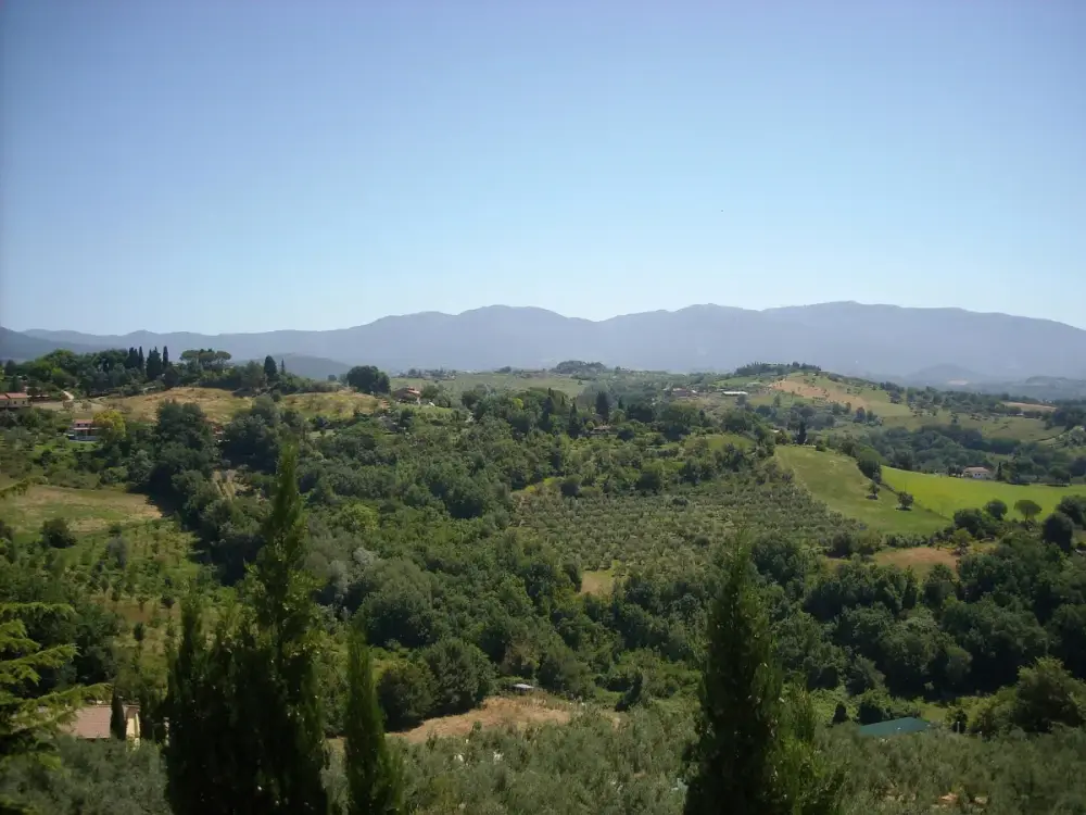 Tarano