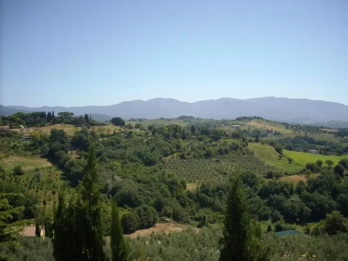 Tarano