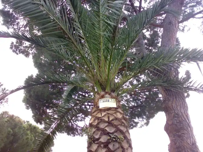 Terracina