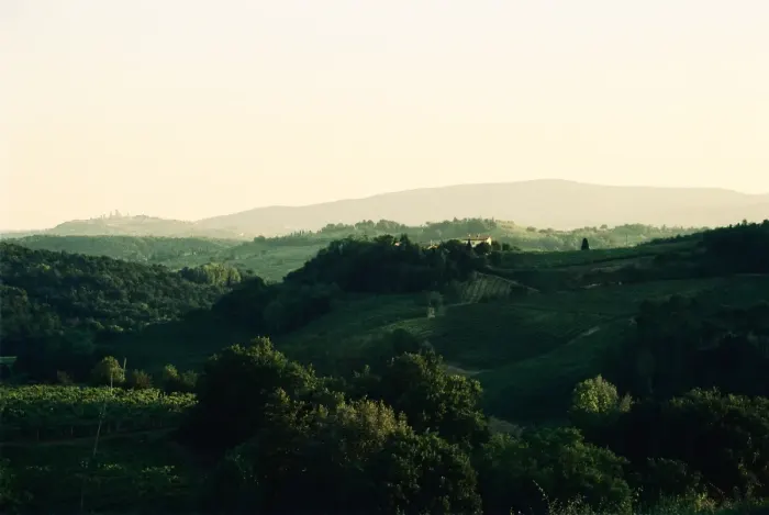 Tuscania