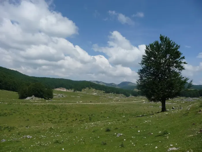 Vallepietra