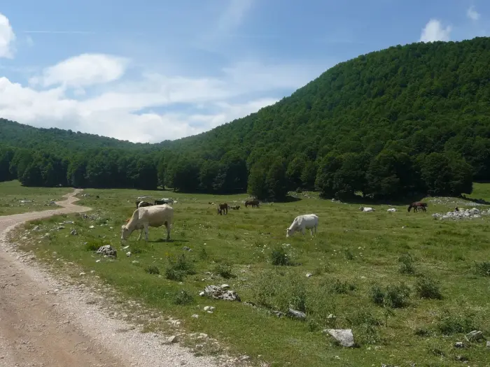 Vallepietra