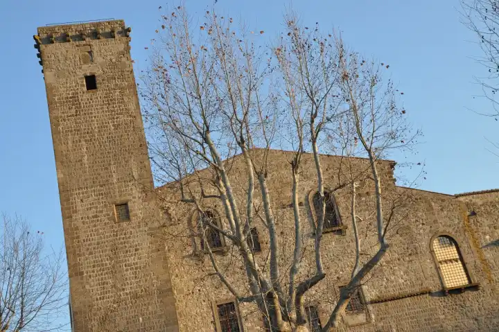 Viterbo