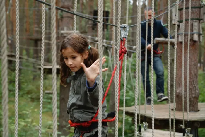 A child in a harness crossing a rope bridge between trees