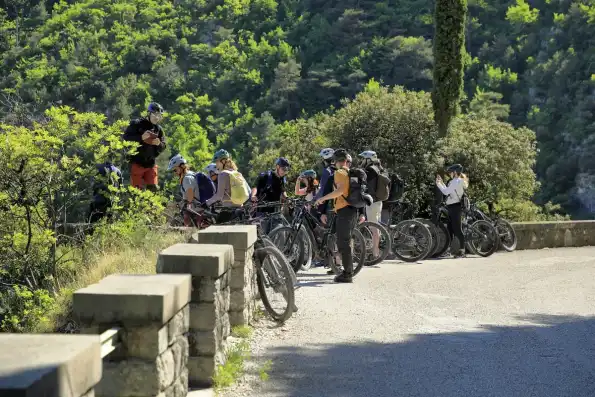 A cyclist riding a bike along a country road