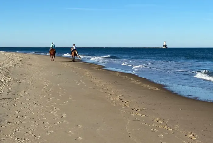 Riders on horseback along a beach