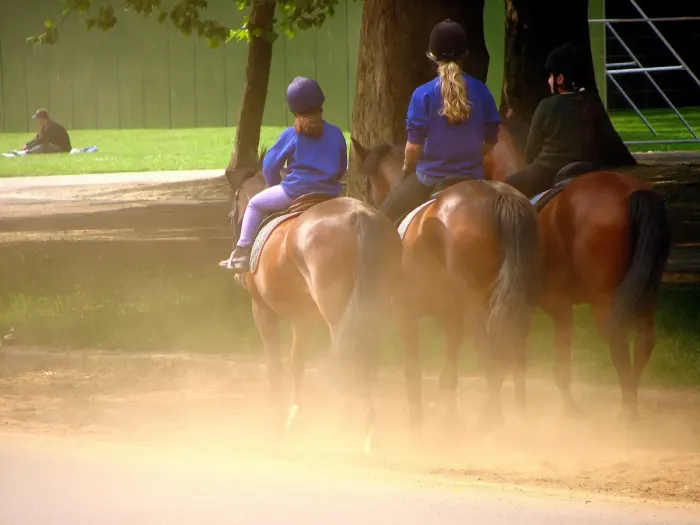 Riders on horseback on a trail through open country