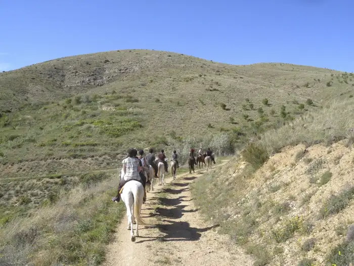 Riders on a horse trail across open country