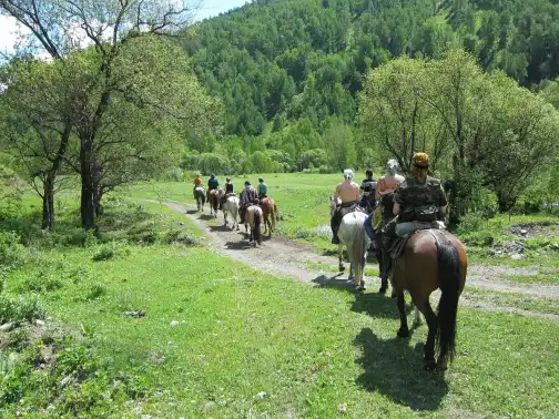 A group riding horses along a valley track