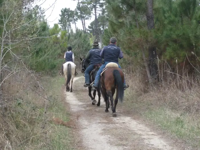 Riders on horseback on a trail through open country