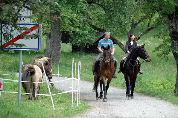 Riders on horseback on a trail through open country