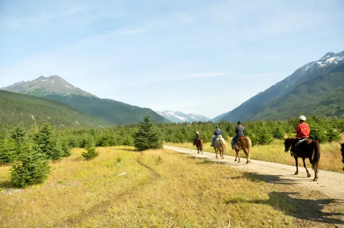 Riders on horseback on a trail through open country