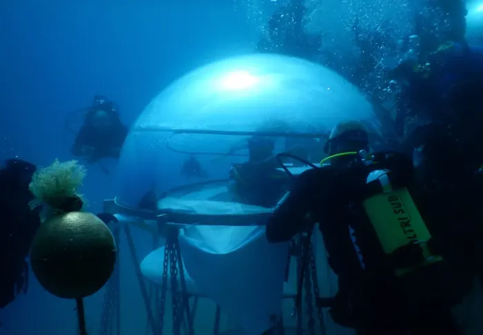 A scuba diver underwater in a wetsuit with tanks and mask