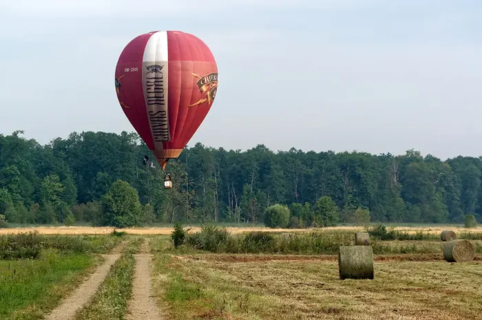 A hot air balloon inflated and rising over open countryside